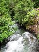 Rio Cheakamus, acima da cachoeira