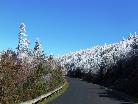 Mount Mitchell ...