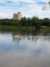 O que faz esse prédio numa cidade dessas?