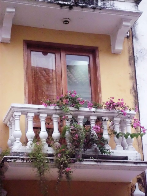 110512_cobo_perambulando_pela_cidade_velha_de_cartagena_48