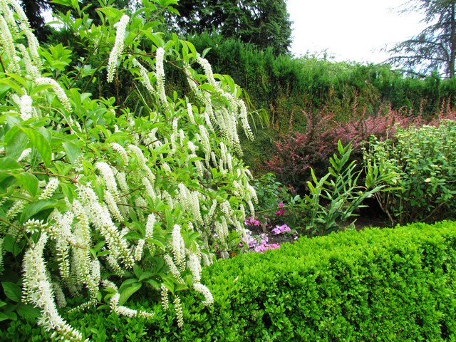 110714_plst_125_rose_test_garden