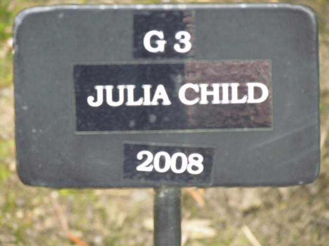 110714_plst_rosa_17a