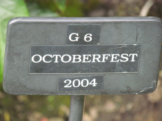 110714_plst_rosa_18a