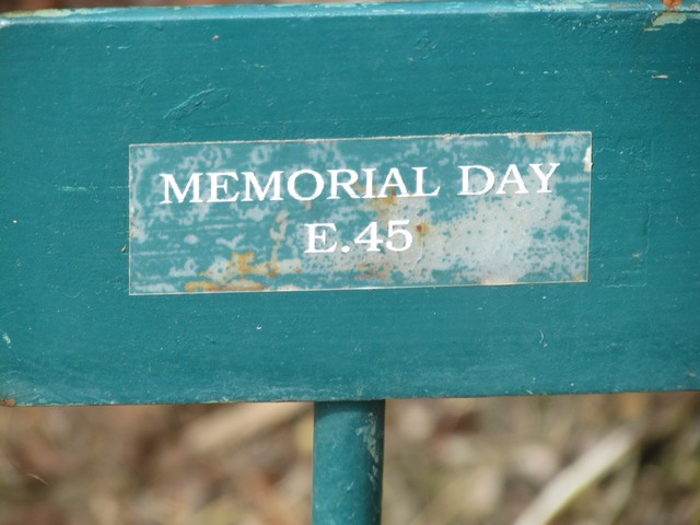 110714_plst_rosa_26a