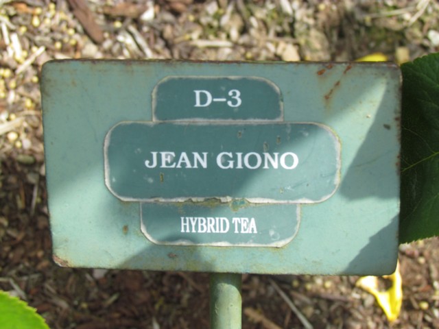 110714_plst_rosa_27a