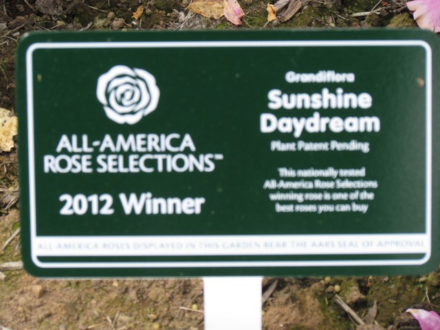 110714_plst_rosa_31a