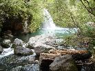 Parque Petrohue